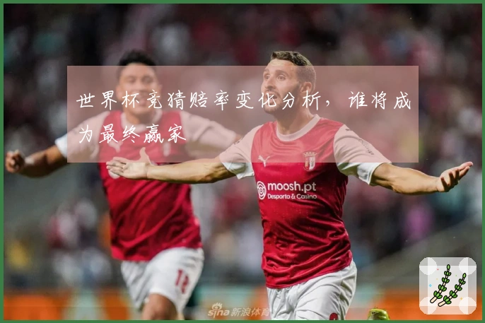 世界杯竞猜赔率变化分析，谁将成为最终赢家