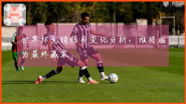 世界杯竞猜赔率变化分析，谁将成为最终赢家