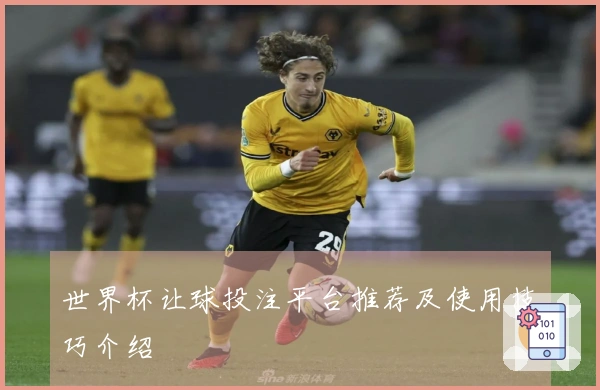 世界杯让球投注平台推荐及使用技巧介绍