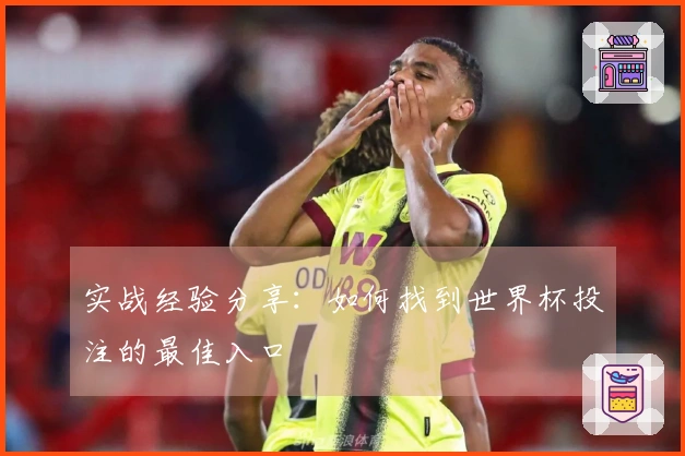 实战经验分享：如何找到世界杯投注的最佳入口