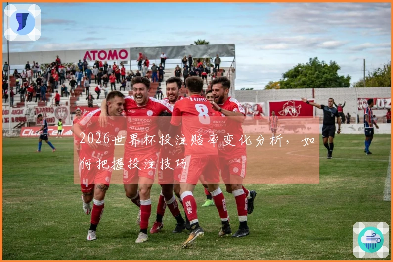 2026世界杯投注赔率变化分析，如何把握投注技巧