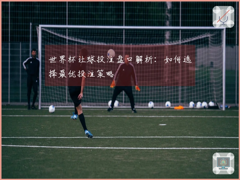 世界杯让球投注盘口解析：如何选择最优投注策略