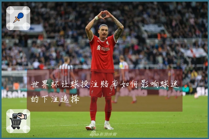 世界杯让球投注赔率如何影响球迷的下注选择