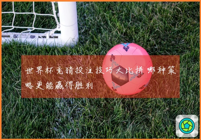世界杯竞猜投注技巧大比拼 哪种策略更能赢得胜利